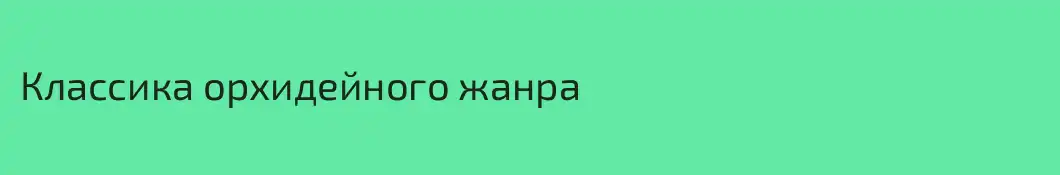 Классика орхидейного жанра